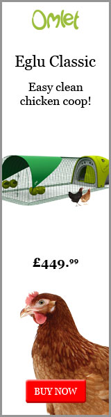 The easy clean chicken coop