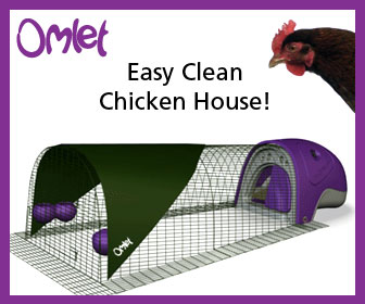 Easy Clean Chicken House!