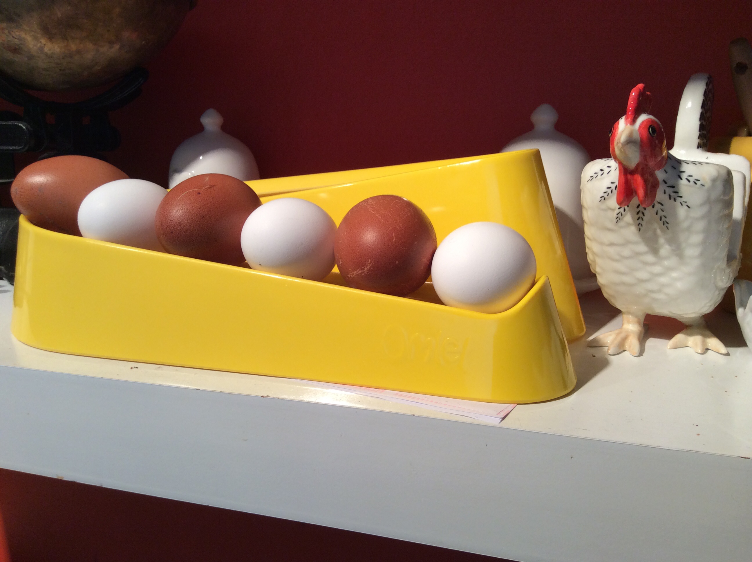 Egg Ramp | Plastic Egg Holder for Storing a Dozen Eggs