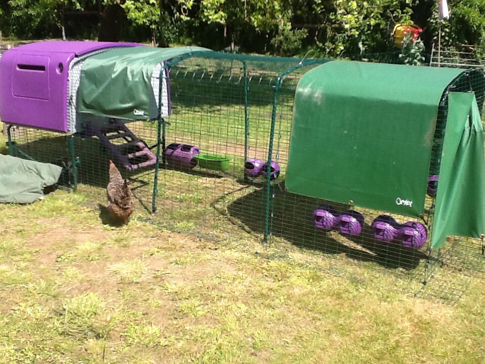 Eglu Cube Chicken Coop | Chicken House for 6-10 Birds