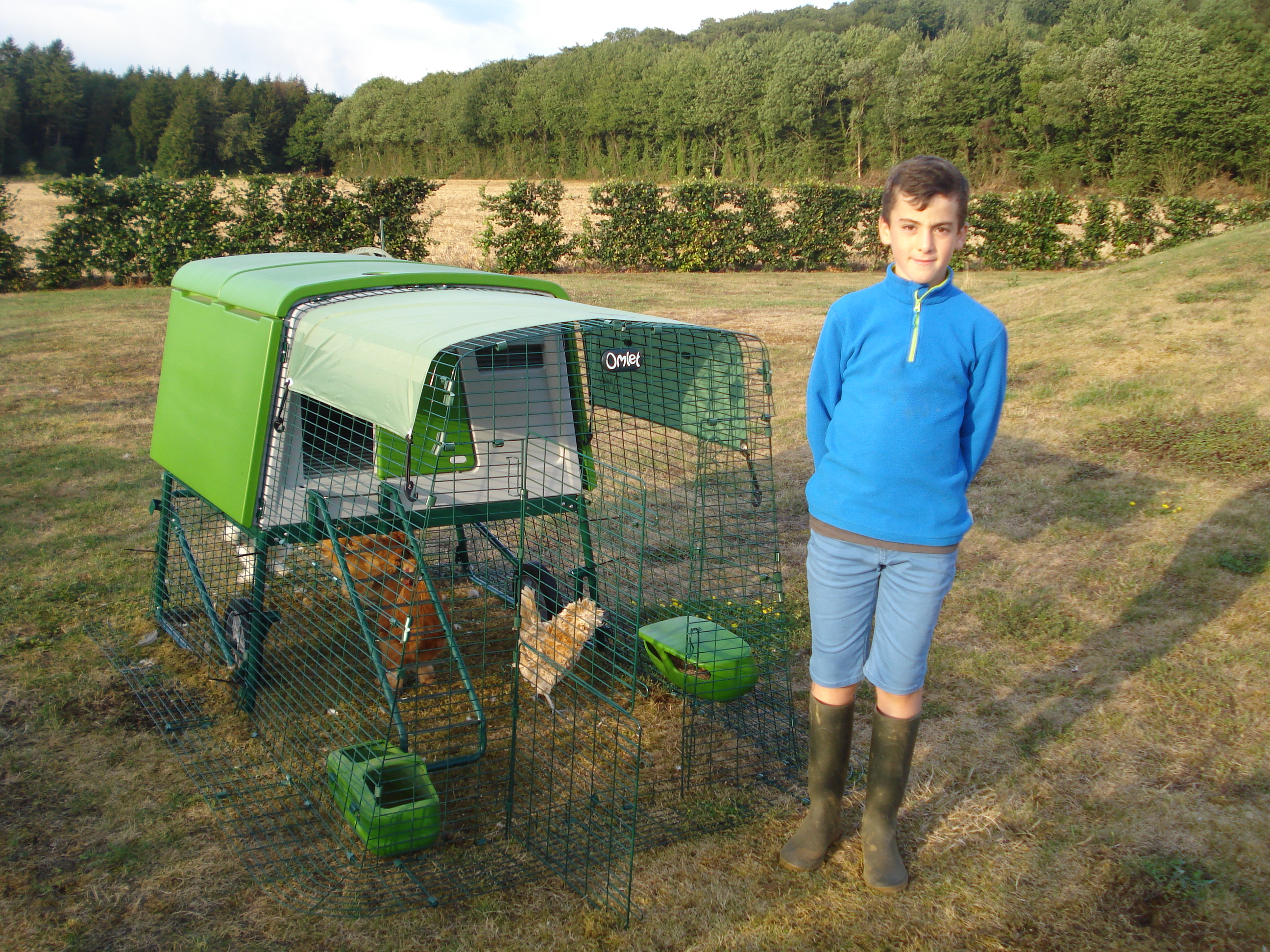 Reviews For Eglu Cube Chicken Coop Chicken Keeping Omlet