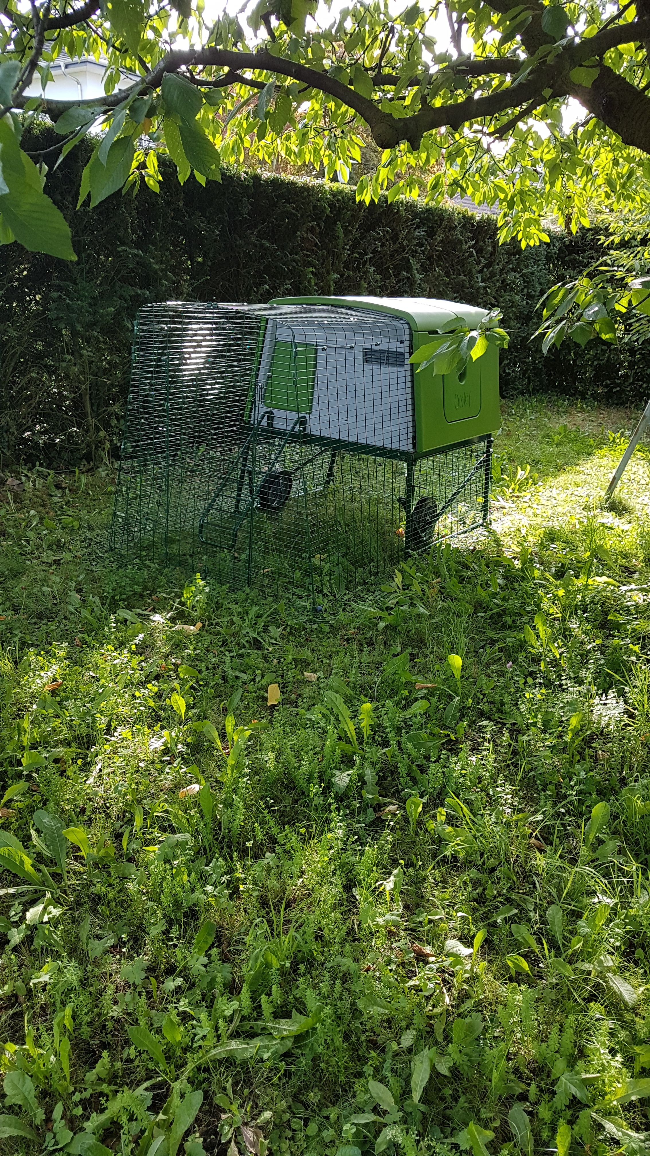 Reviews For Eglu Cube Chicken Coop Chicken Keeping Omlet