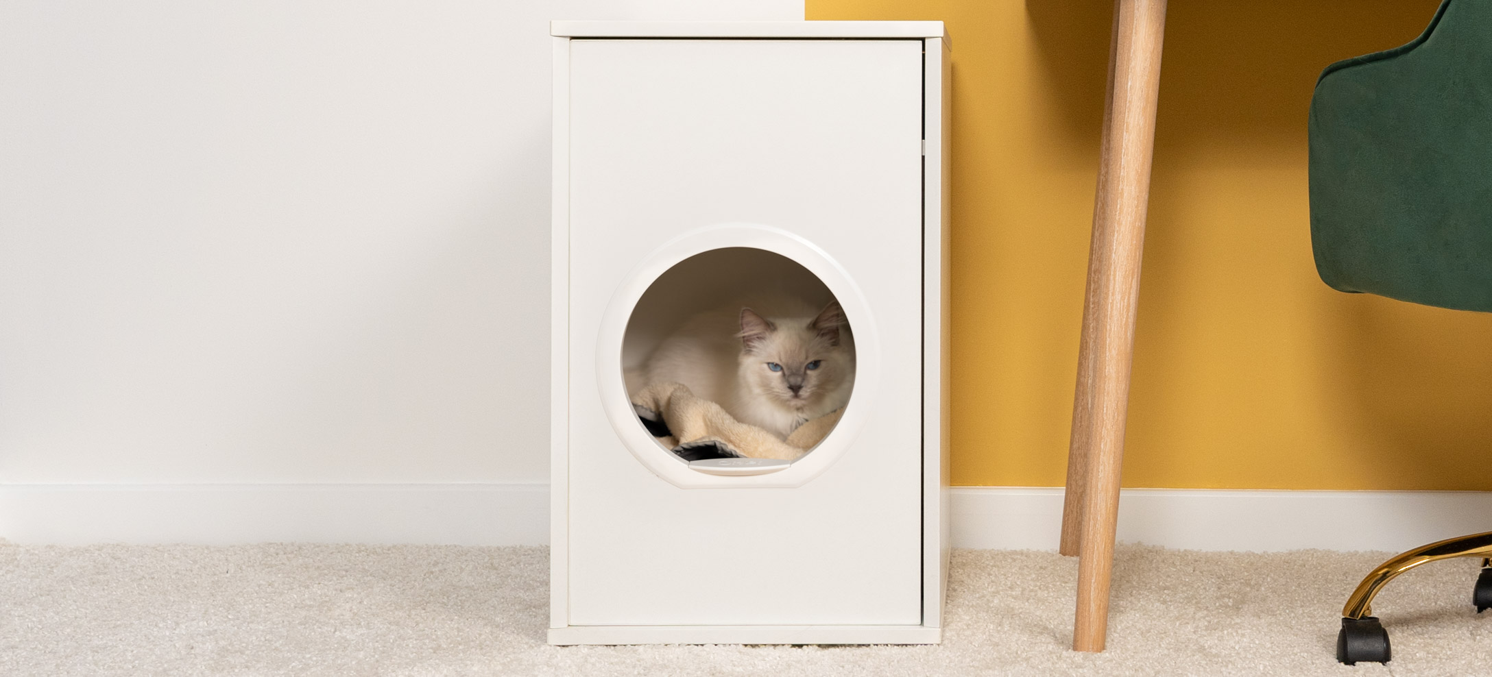 Enclosed cat outlet tree