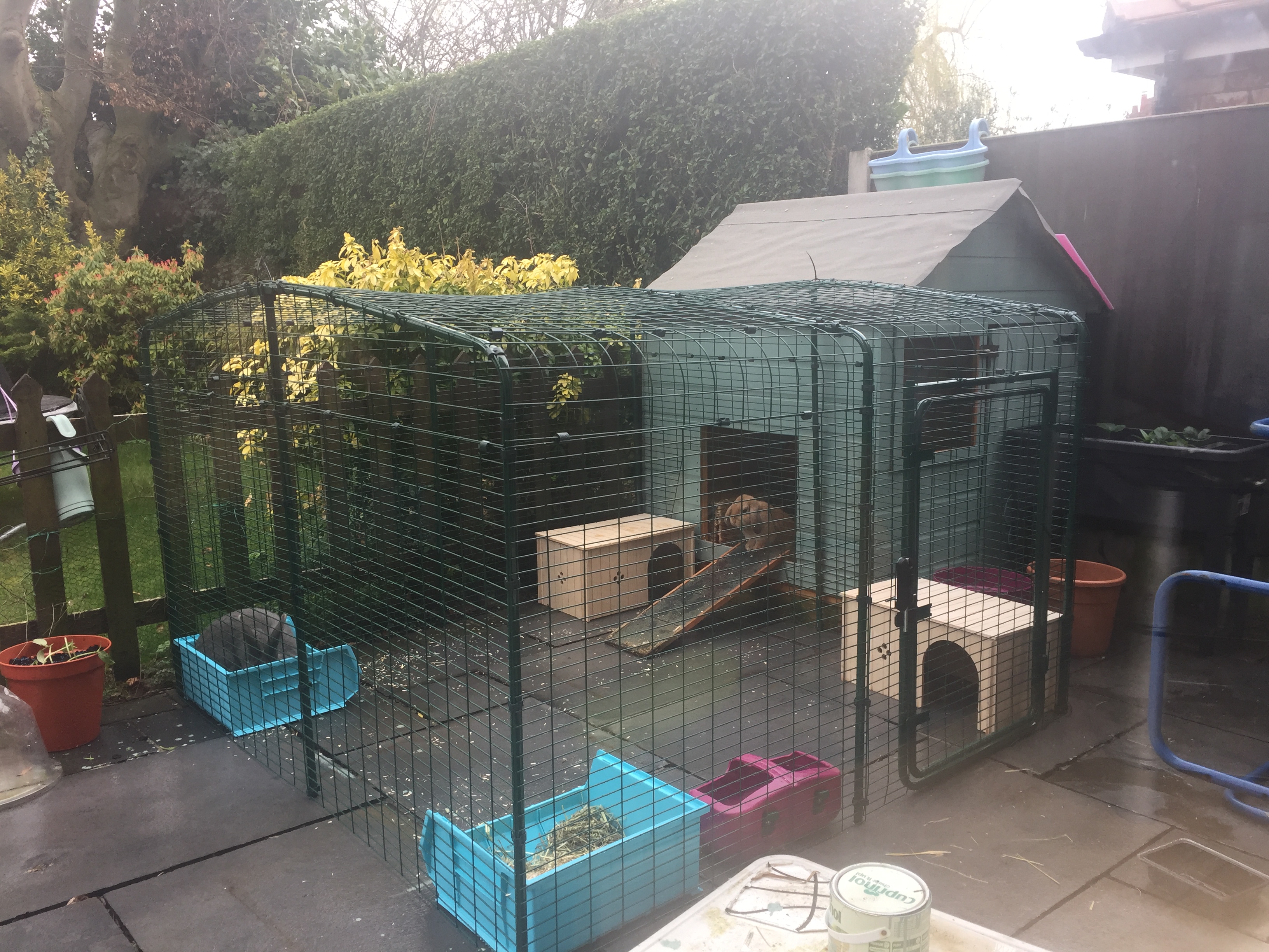 Outdoor Rabbit Run | Large Outdoor Rabbit Enclosure